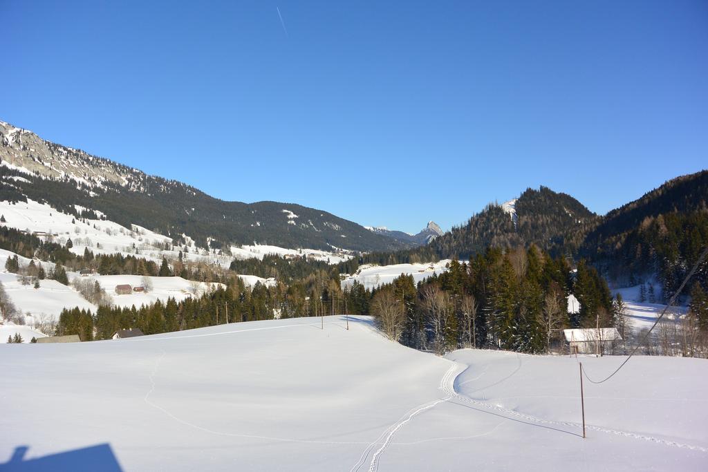Ferienwohnung Poreiterhof Tauplitz Buitenkant foto